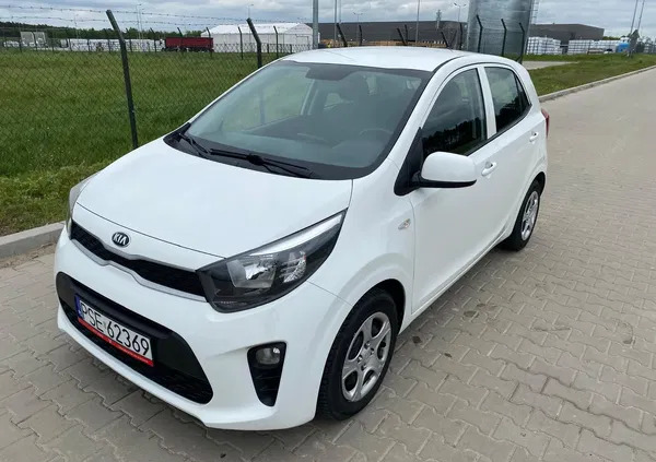 kia picanto Kia Picanto cena 33900 przebieg: 47000, rok produkcji 2018 z Kórnik